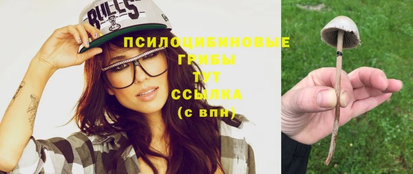 МДПВ Алзамай
